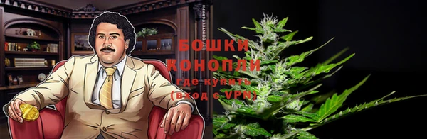 дурь Богданович