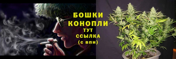 дурь Богданович