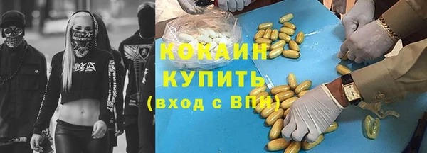 индика Богородицк