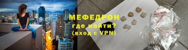 индика Богородицк