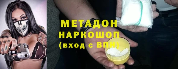индика Богородицк