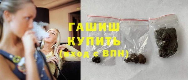 индика Богородицк