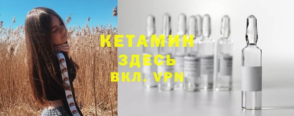 индика Богородицк