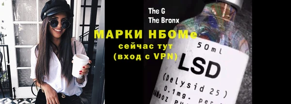 индика Богородицк