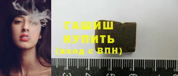 индика Богородицк