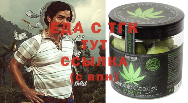 индика Богородицк