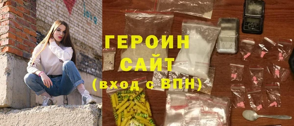 индика Богородицк