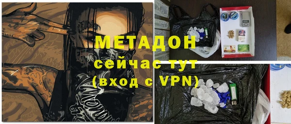 индика Богородицк
