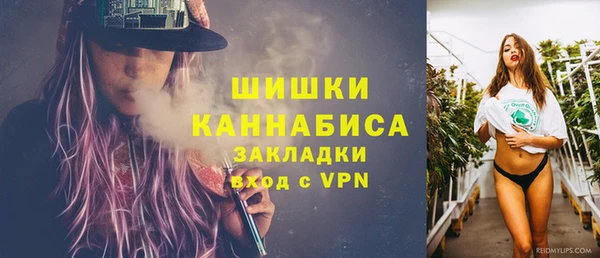 индика Богородицк
