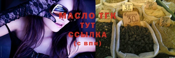 индика Богородицк
